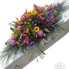 Tropical Coffin Spray